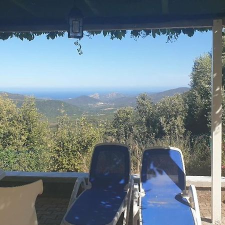 Vos Vacances A Lama France Corse Exterior photo