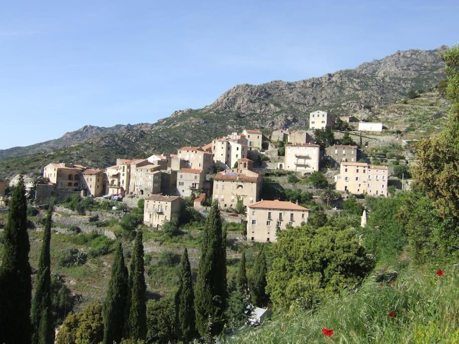 Vos Vacances A Lama France Corse Exterior photo