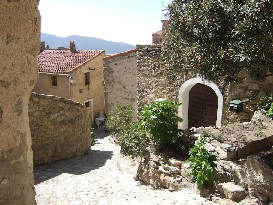 Vos Vacances A Lama France Corse Exterior photo