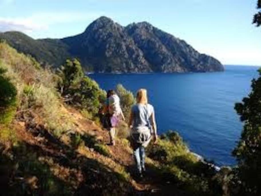 Vos Vacances A Lama France Corse Exterior photo