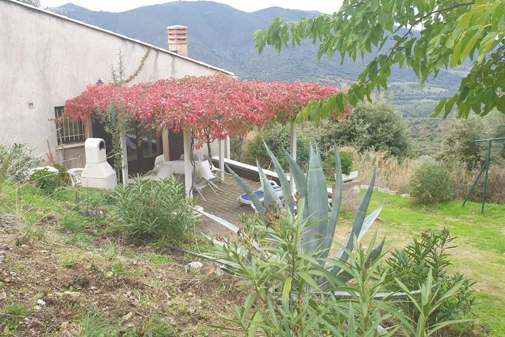 Vos Vacances A Lama France Corse Exterior photo