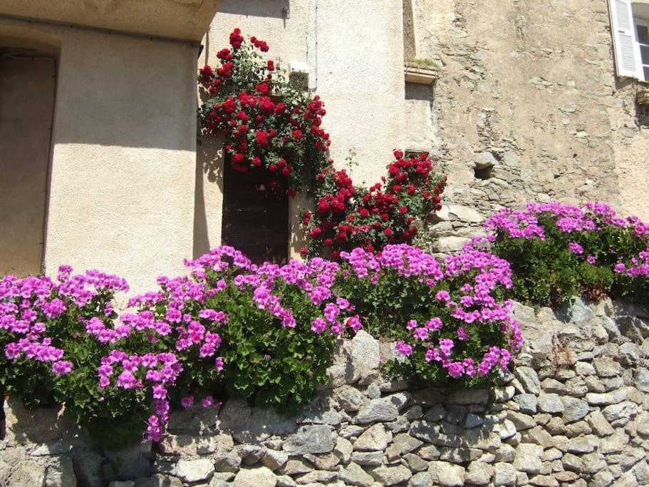 Vos Vacances A Lama France Corse Exterior photo