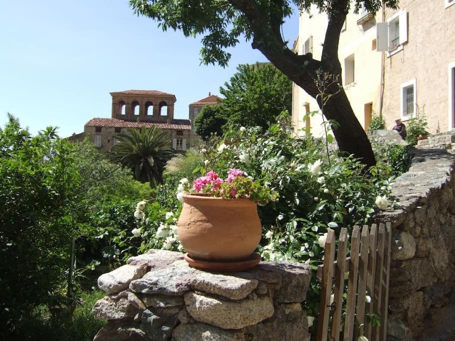 Vos Vacances A Lama France Corse Exterior photo