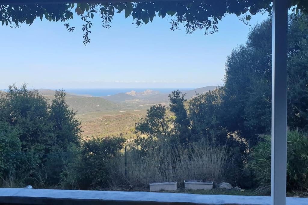 Vos Vacances A Lama France Corse Exterior photo