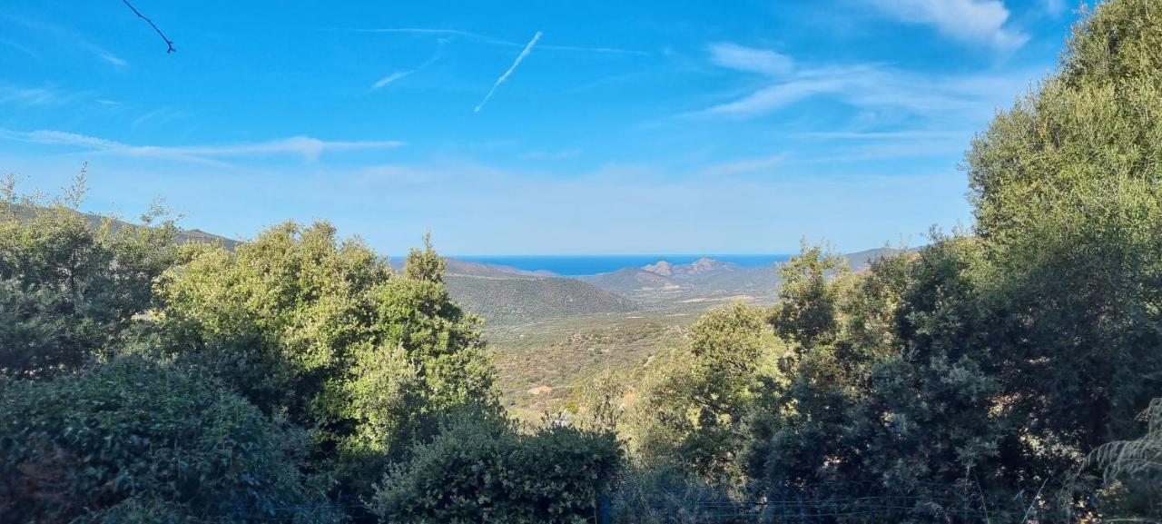 Vos Vacances A Lama France Corse Exterior photo